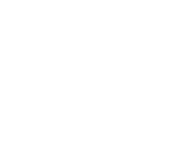 XP Investimentos